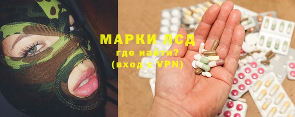 прущие грибы Алексеевка