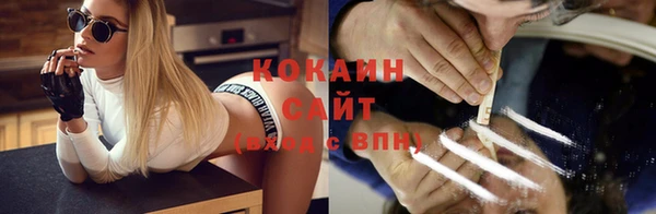 прущие грибы Алексеевка