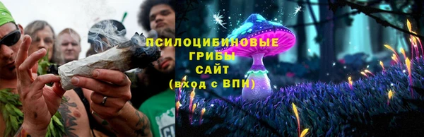 spice Арсеньев